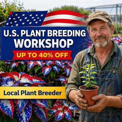 🎉Last Day Sale Off 49%🎉Celebrate America's 250th 🌱Premium Shade-Loving Hosta Seeds