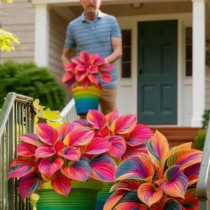 🎉Last Day Sale Off 49%🎉Celebrate America's 250th 🌱Premium Shade-Loving Hosta Seeds