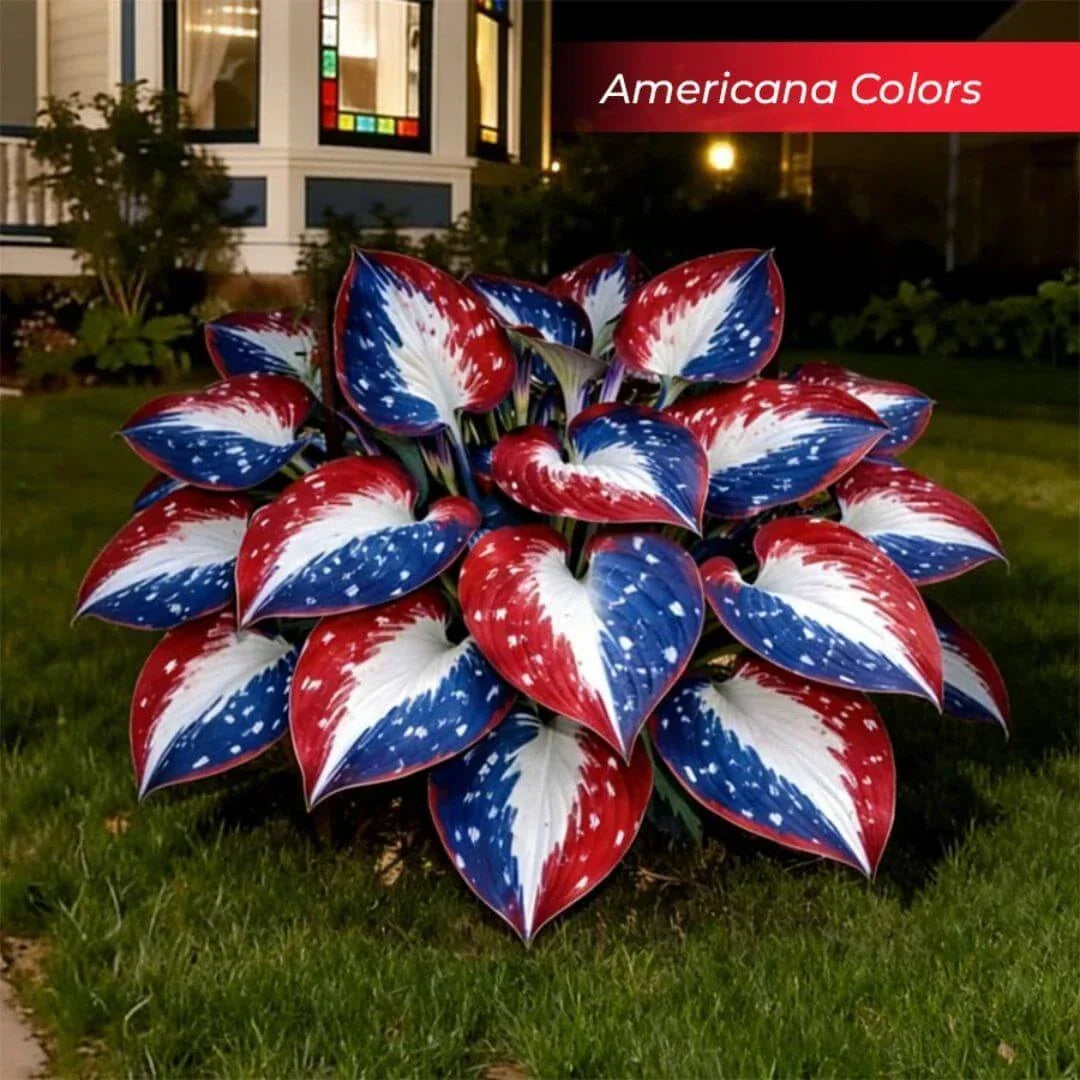 🎉Last Day Sale Off 49%🎉Celebrate America's 250th 🌱Premium Shade-Loving Hosta Seeds