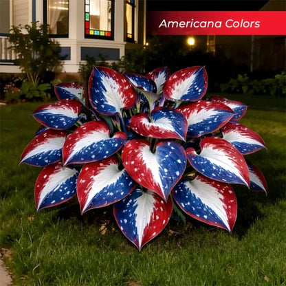 🎉Last Day Sale Off 49%🎉Celebrate America's 250th 🌱Premium Shade-Loving Hosta Seeds