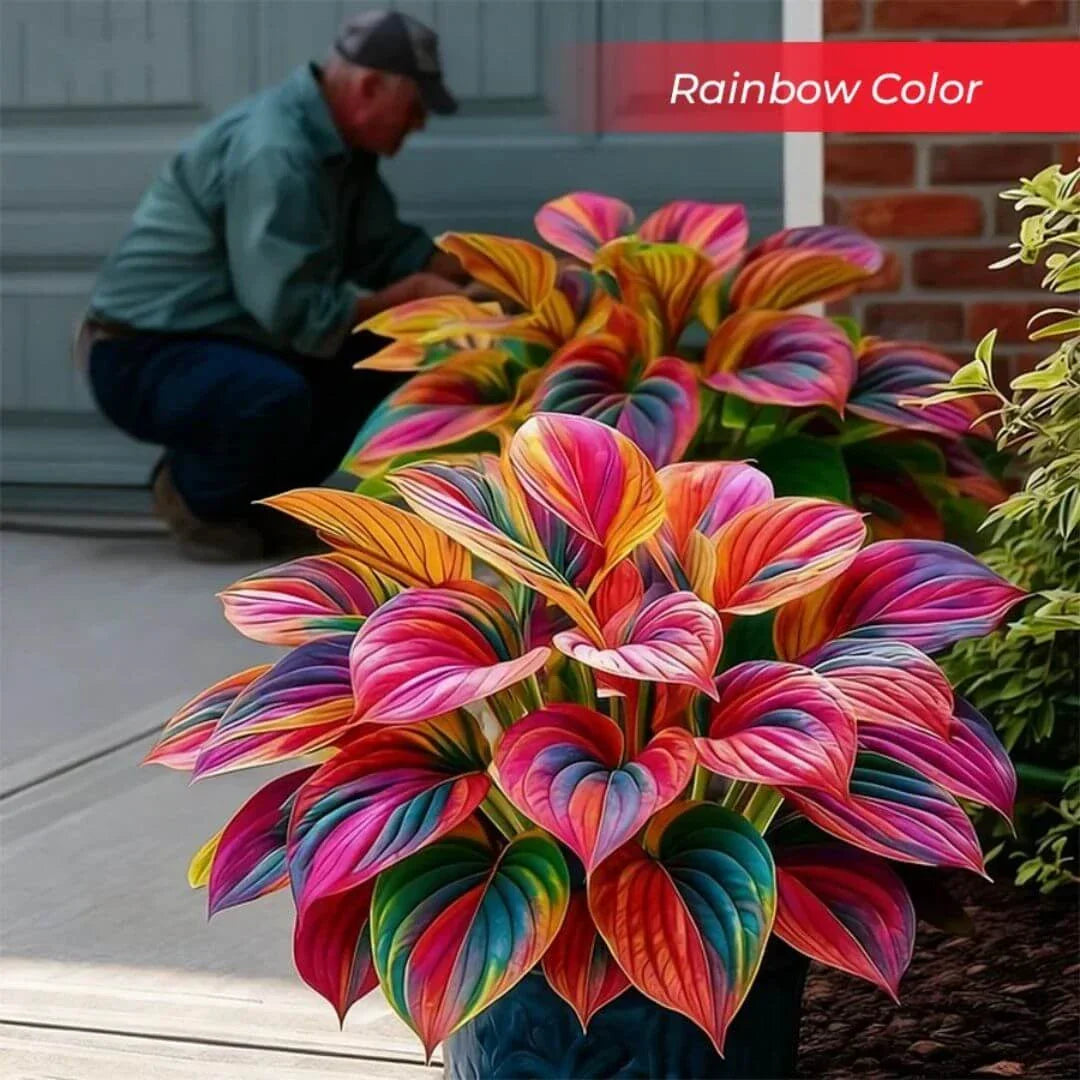 🎉Last Day Sale Off 49%🎉Celebrate America's 250th 🌱Premium Shade-Loving Hosta Seeds