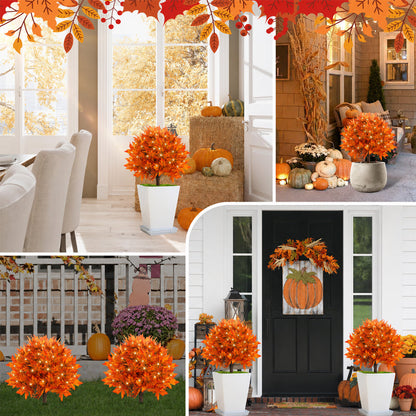 Last Day Promotion! 🔥🍂Light-Up Autumn Maple Tree – LED Fall Tree Ornament