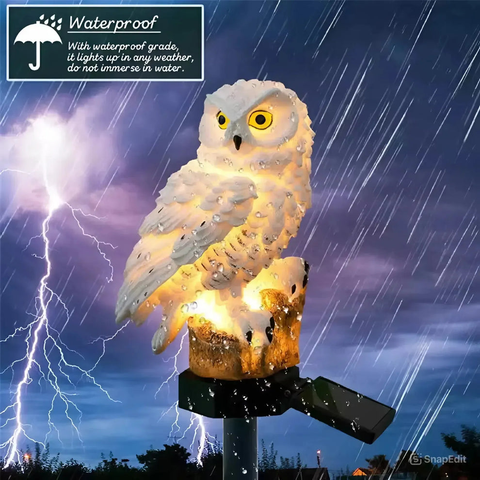 🔥70% OFF & Free Shipping💥 – Waterproof Solar Owl Light